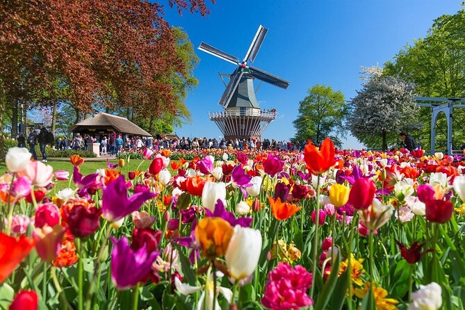 Amsterdam: Keukenhof Entry & Shuttle Bus with Flexible Return - Getting to This is Holland from Amsterdam Central