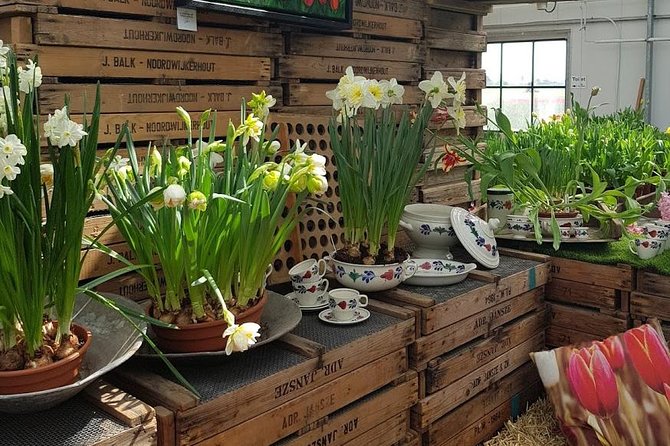 Amsterdam : Keukenhof FlowerFarm Privatetour Skip-The-Line ticket - Noordwijk Beach, if you want to add the coast