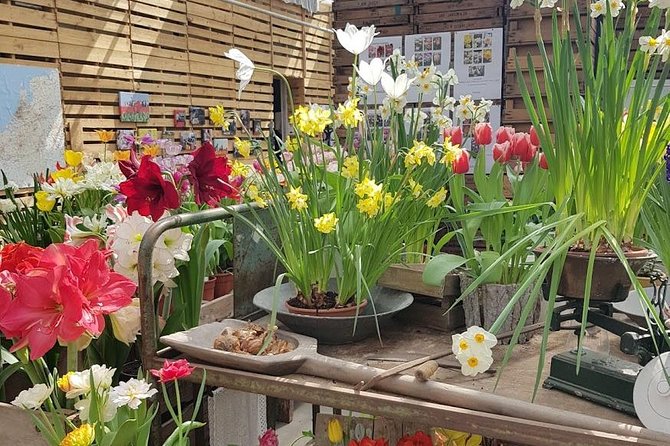 Amsterdam : Keukenhof FlowerFarm Privatetour Skip-The-Line ticket - Who will get the most from this tour