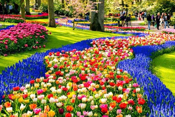 Amsterdam : Keukenhof FlowerFarm Privatetour Skip-The-Line ticket - Booking advice and cancellation terms