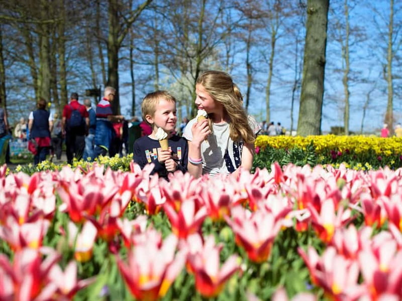 Amsterdam: Keukenhof Ticket and Roundtrip Shuttle Transfer - Why this Keukenhof shuttle works so well