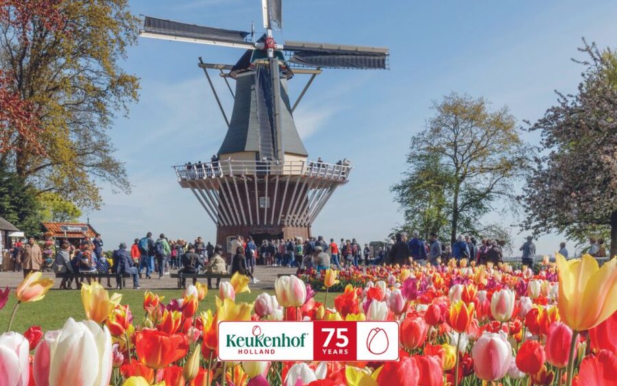 Amsterdam: Keukenhof Ticket and Roundtrip Shuttle Transfer - Choosing the best time in the flower season