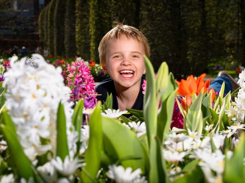 Amsterdam: Keukenhof Ticket and Roundtrip Shuttle Transfer - Food, toilets, shops, and practical comfort