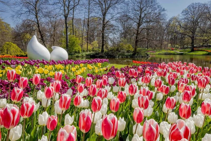 Amsterdam: Keukenhof Ticket and Roundtrip Shuttle Transfer - Who should book this experience?