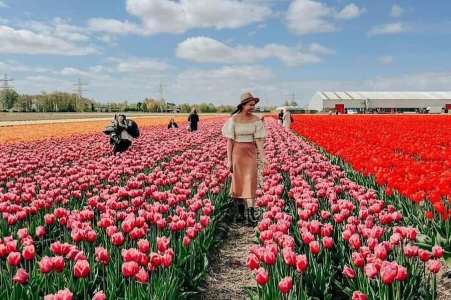 Amsterdam: Keukenhof, Tulip Farm Full-Day Tour with Cruise - Key points to know before booking