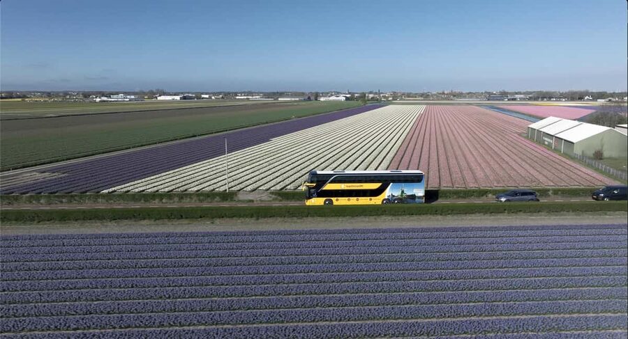 Amsterdam: Keukenhof, Tulip Farm Full-Day Tour with Cruise - Should you book this Amsterdam day trip?