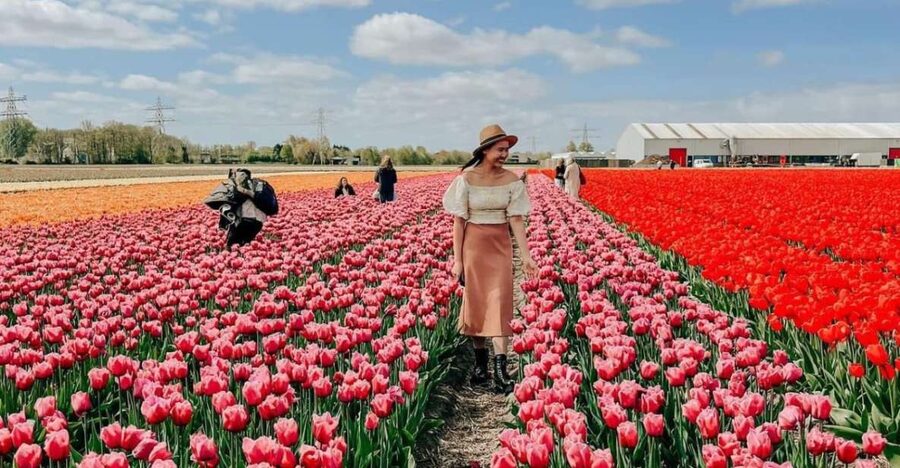 Amsterdam: Keukenhof, Tulip Farm Full-Day Tour with Cruise - The one-hour windmill cruise on Kagerplassen
