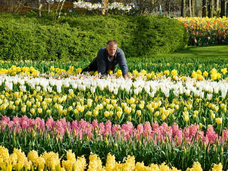 Amsterdam: Keukenhof, Tulip Farm Full-Day Tour with Cruise - What the $96 price buys you