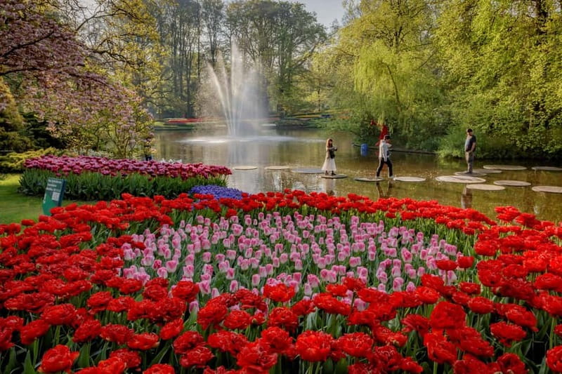 Amsterdam: Keukenhof, Tulip Farm Full-Day Tour with Cruise - Who will enjoy this day most