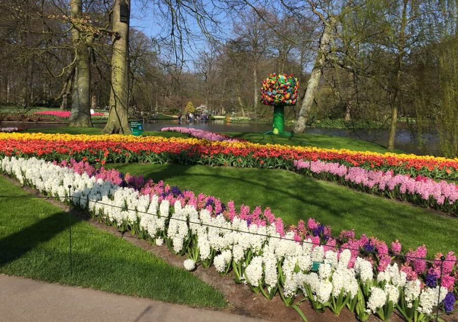 Amsterdam: Keukenhof Tulip Garden and Giethoorn Experience - Three and a half hours among Keukenhof’s flowers