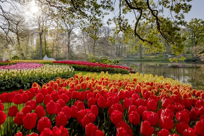 Amsterdam: Keukenhof, Zaanse Schans & Volendam Tour - Who will get the most from this tour