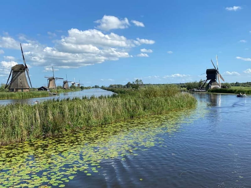Amsterdam: Kinderdijk, Euromast, Delft and Den Haag Day Tour - Practical details before you go