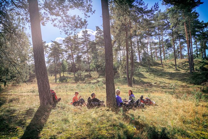 Amsterdam: Kröller Müller Museum and Hoge Veluwe NP Private Tour - Who should book this experience?