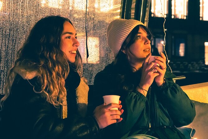 Amsterdam: Light Festival Cruise with Unlimited Drinks Option - Along the Amstel River
