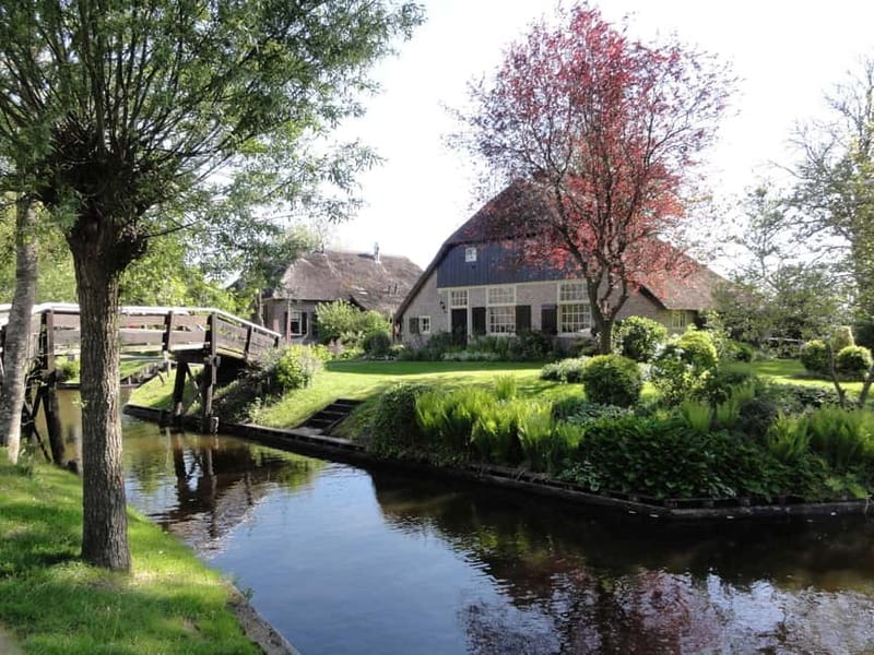 Amsterdam: Live GuideD Giethoorn Boat Tour & Cheese Platter - Free time for lunch, bridges, and cheese shopping