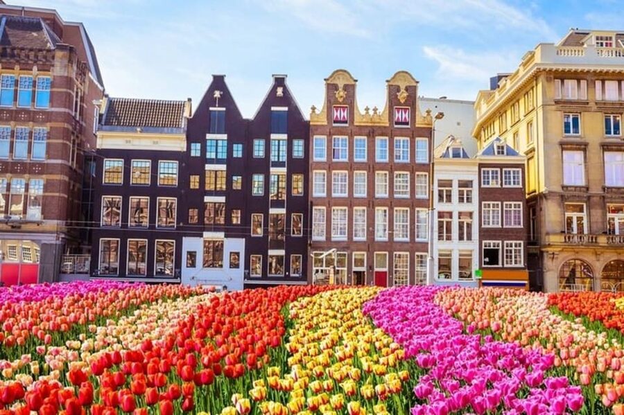Amsterdam: Must-See Attractions Guided Walking Tour - Portuguese Synagogue and Nieuwmarkt
