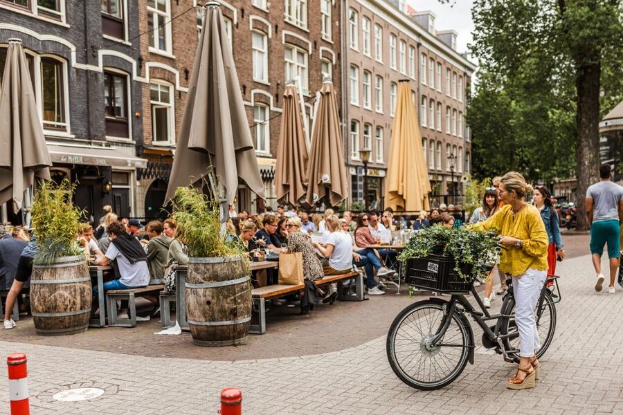 Amsterdam: Off-the-Beaten-Track Neighborhoods Private Tour - The Noordhollandsch Canal and d’Admiraal Windmill