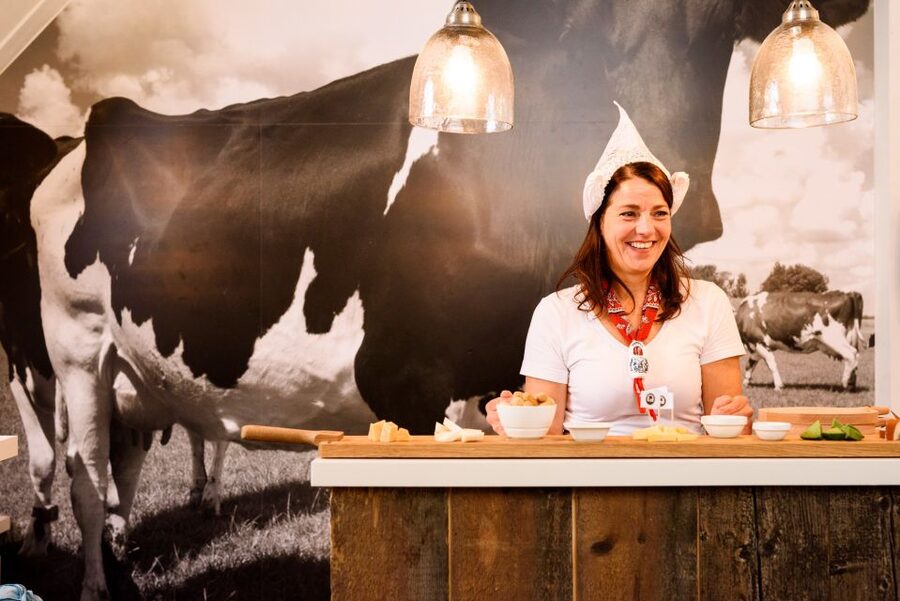 Amsterdam: Premium Henri Willig Cheese Tasting Experience - Why this cheese tasting works in central Amsterdam