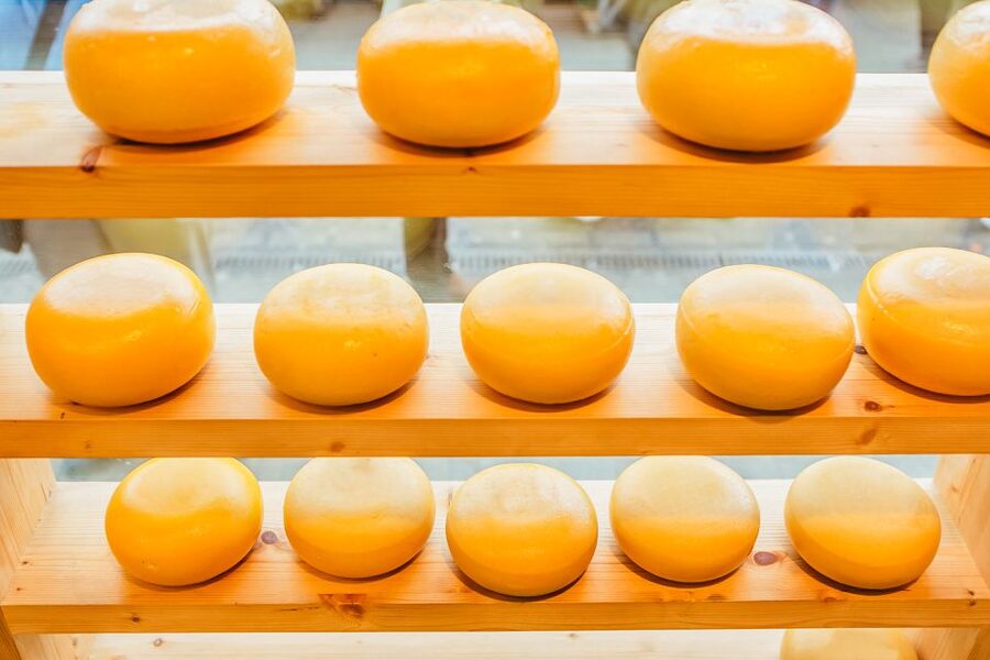 Amsterdam: Premium Henri Willig Cheese Tasting Experience - The short film and the Dutch cheesemaking lesson