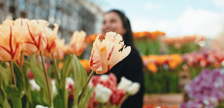 Amsterdam: Premium Tulip Boat Canal Tour - A possible look at the Amstel River