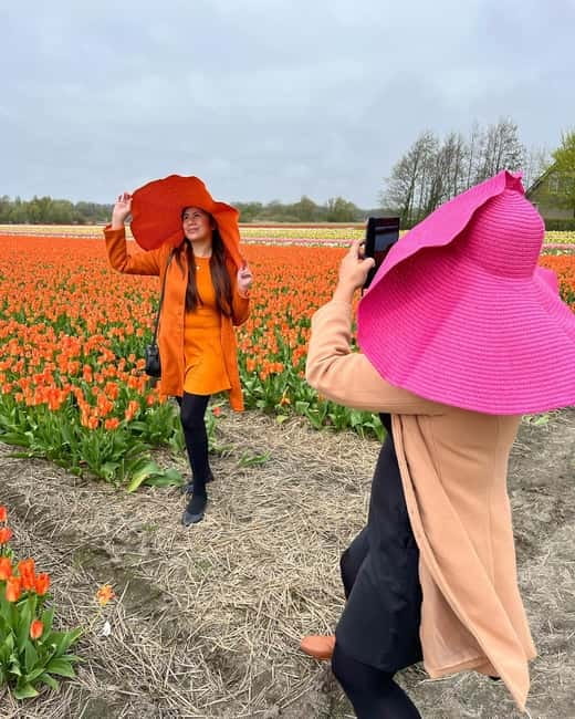 Amsterdam: Private Keukenhof and Free Tulip Tour - Why private transport changes the Keukenhof day
