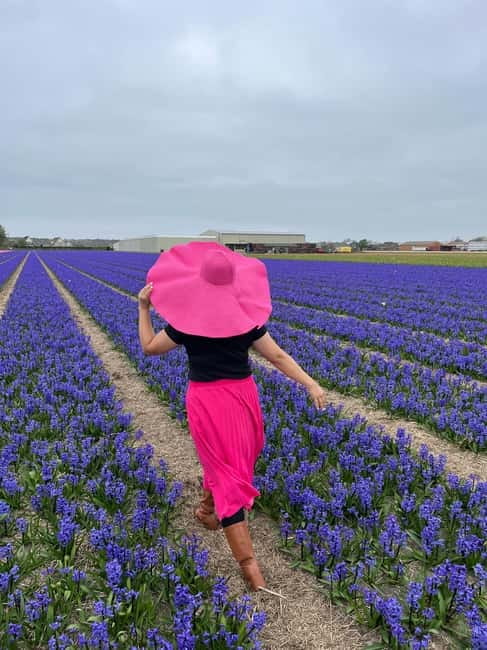 Amsterdam: Private Keukenhof and Free Tulip Tour - Booking details worth checking