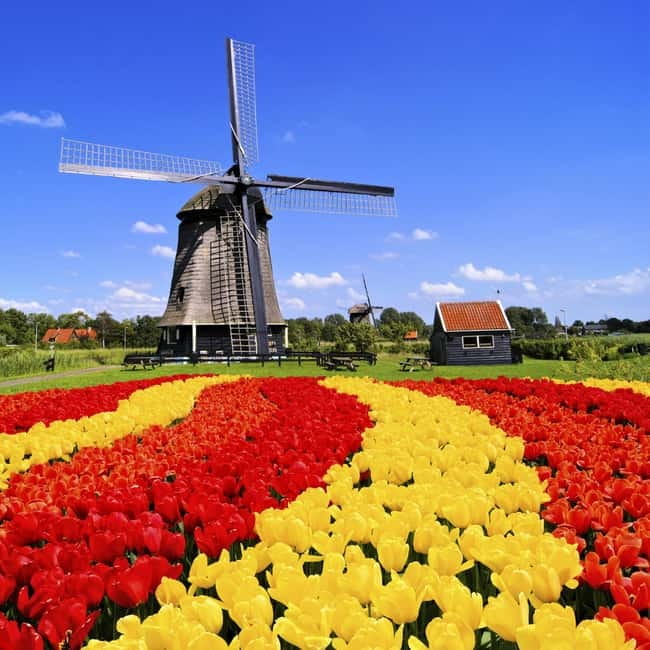 Amsterdam: Private Keukenhof and Free Tulip Tour - Four hours among Keukenhof’s flowers