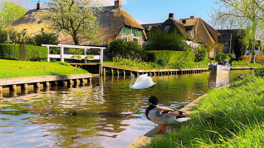 Amsterdam: Private Tour Giethoorn, Zaanse Schans Local Guide - Lunch and the journey to Giethoorn