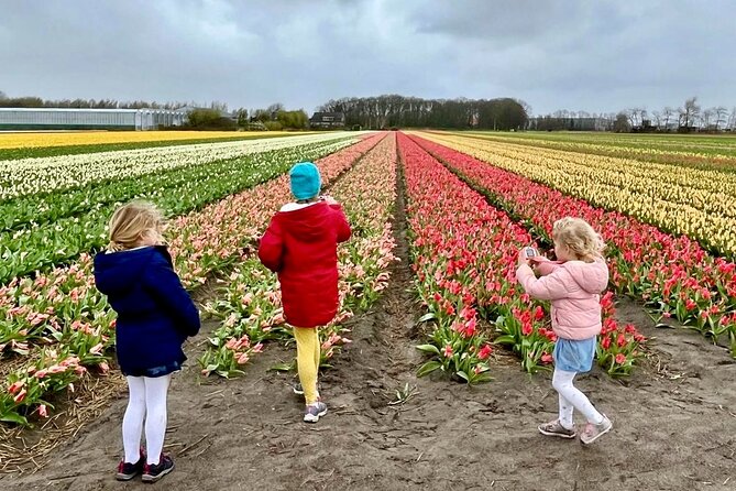 Amsterdam Private Tour to Keukenhof, Tulip Fields and Windmills - Why this private day works so well