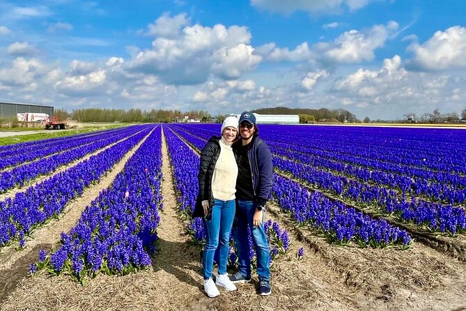 Amsterdam Private Tour to Keukenhof, Tulip Fields and Windmills - Tulip fields beyond the formal garden