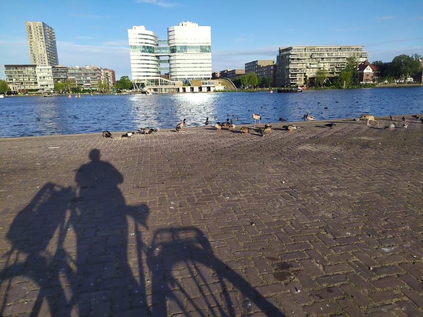 Amsterdam: Rainbow Rural Bike Tour With Local Gay Guide - Returning by ferry with skyline views