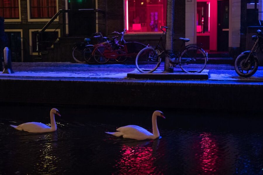 Amsterdam: Red Light District and Coffeeshop Culture Tour - Entering the red-lit streets