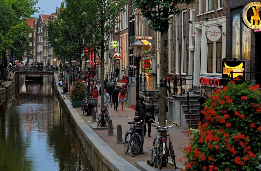 Amsterdam Red Light District tour with a local guide - Red-lit windows, brothels, and the limits of a walking tour