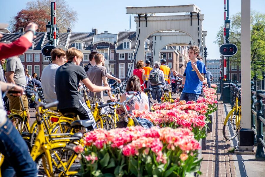 Amsterdam: Relaxed City Highlights Guided Bike Tour - Vondelpark, the tour’s breathing space