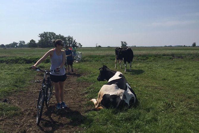 Amsterdam's Countryside Half-Day Bike Tour in Small Group - Waterland’s polders and life below sea level