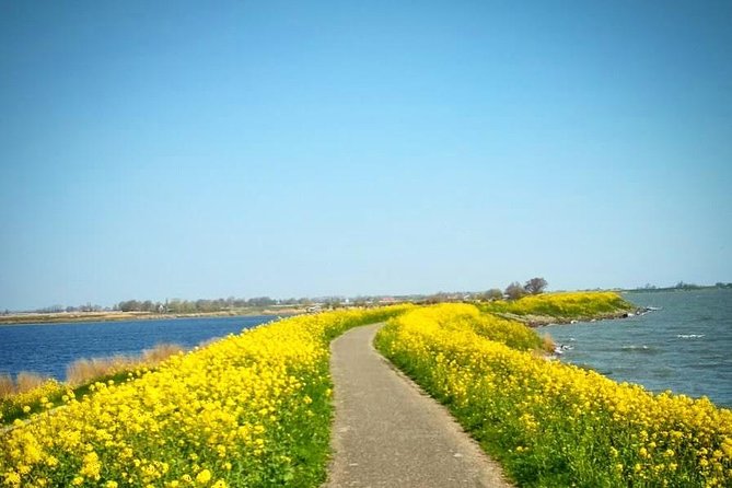 Amsterdam's Countryside Half-Day Bike Tour in Small Group - The first stretch: leaving Amsterdam by bicycle