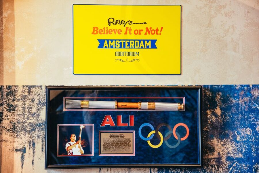 Amsterdam's Weirdest Museum: Believe It or Not! - Is it suitable for children and wheelchair users?
