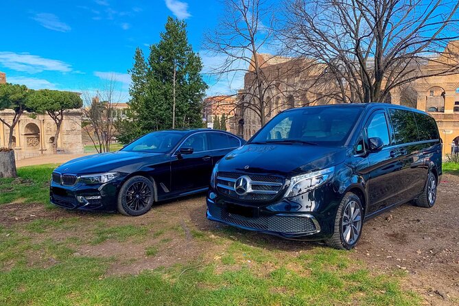 Amsterdam Schiphol Airport (AMS) to Amsterdam - Arrival Private Transfer - What the airport meeting should feel like