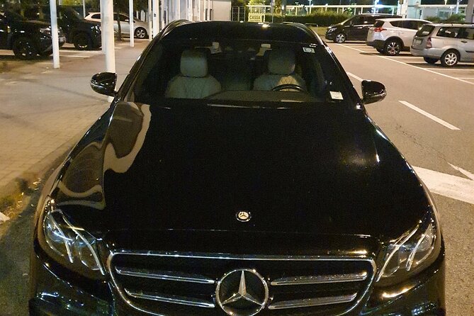 Amsterdam Schiphol Airport (AMS) to Amsterdam - Arrival Private Transfer - Accessibility and basic participation