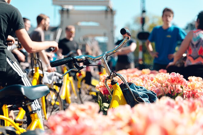 Amsterdam Small Group Bike Tour - Amsterdam in two hours: the key points