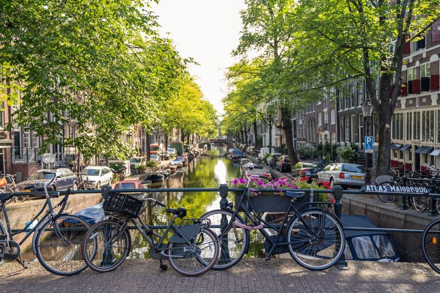 Amsterdam Small-Group Walking Tour - Key points to know before you book