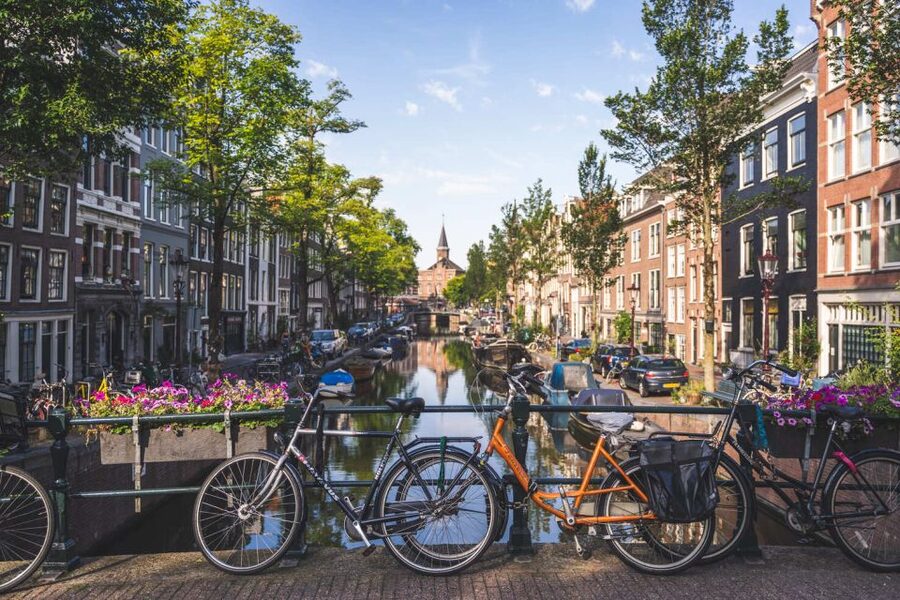 Amsterdam Small-Group Walking Tour - Price, pace, and the question of value