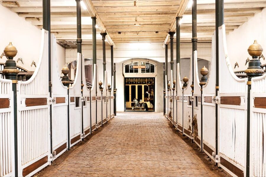 Amsterdam: The 'Hollandsche Manege' Stables Entry Ticket - The architecture is part of the attraction