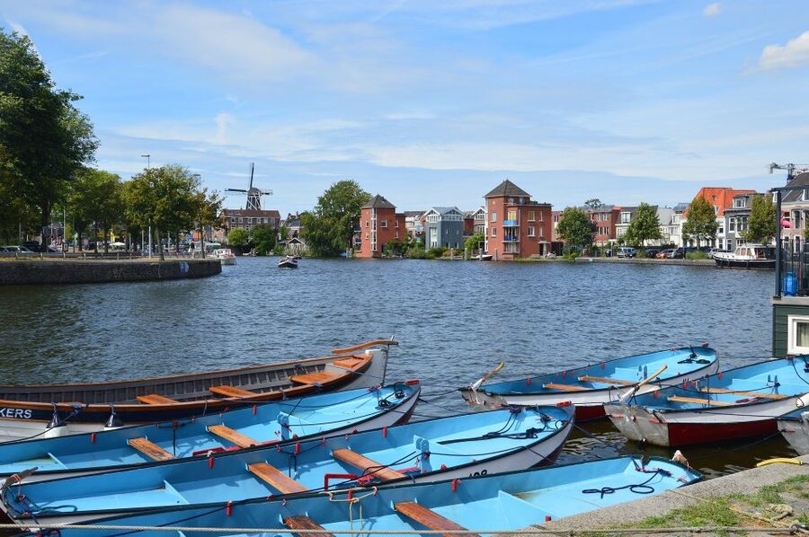 Amsterdam to Haarlem: Private Day-Trip Experience - Grote Markt and a local two-course meal