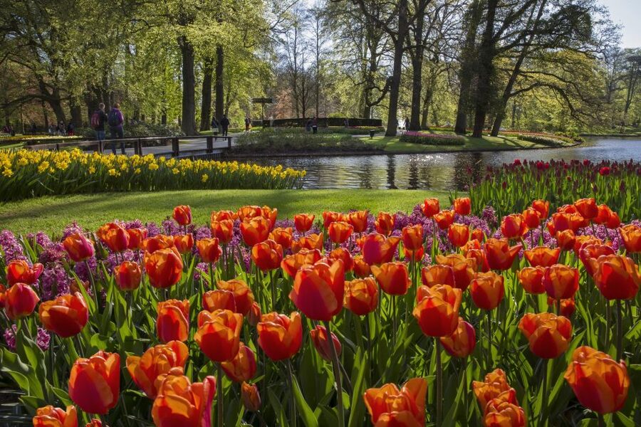 Amsterdam: Tour to Keukenhof Gardens with Windmill Cruise - Crowds, food, and the best way to use your time