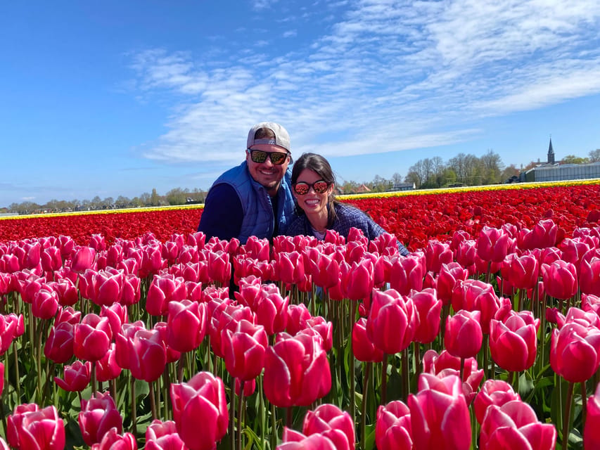 Amsterdam: Tulip Fields Day Tour with Lunch & Windmill - Key points at a glance