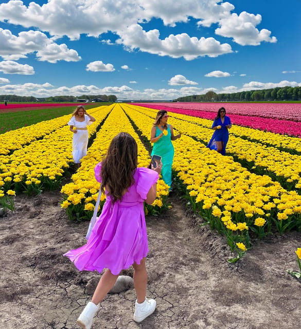 Amsterdam: Tulip Fields Day Tour with Lunch & Windmill - Why these tulip fields are different from a garden visit