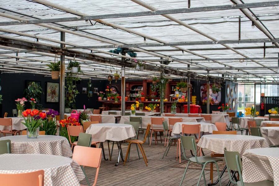 Amsterdam : Tulip Wonderland Tour - Rain, access, and practical comfort