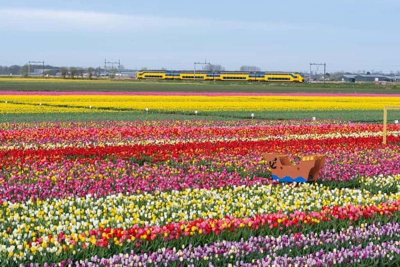 Amsterdam : Tulip Wonderland Tour - Booking timing and cancellation flexibility