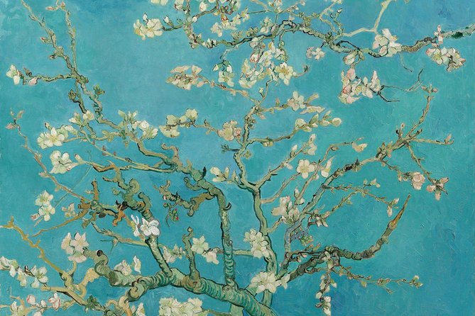 Amsterdam: Van Gogh Museum Entry & 75 minute City Canal Cruise - The main strengths and weak spots